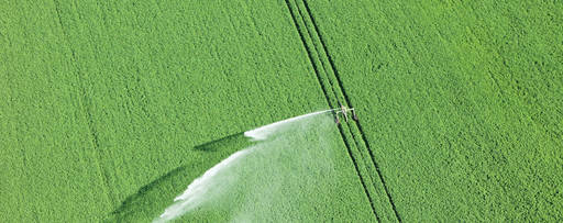 Water reel irrigation system sprayer in farm field