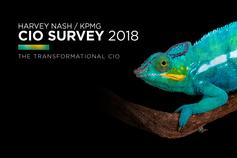 Harvey Nash / KPMG CIO Survey 2018 - image of cameleon