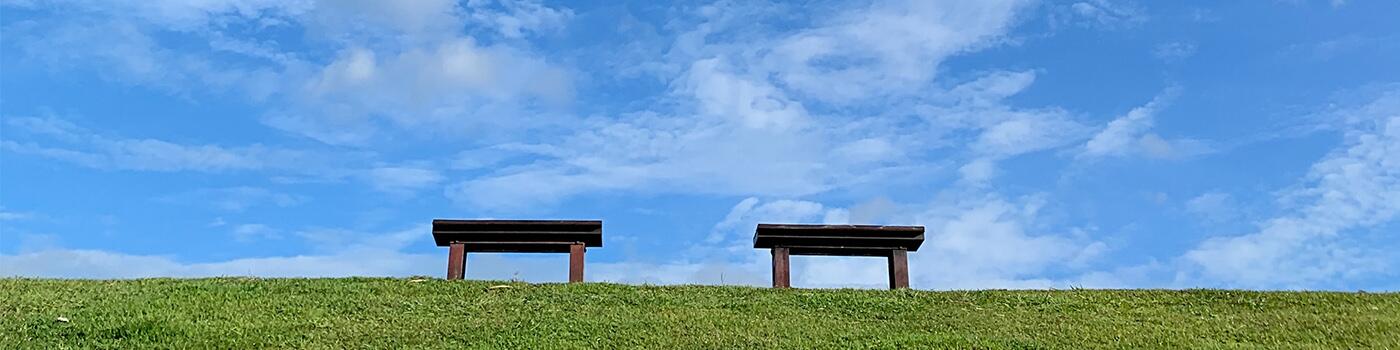 Two benches on grass