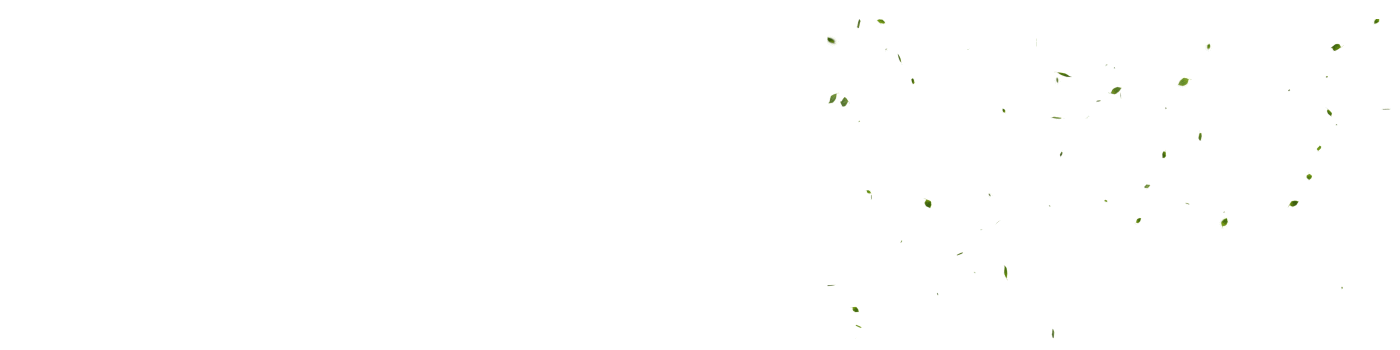 ilustrační obrázek