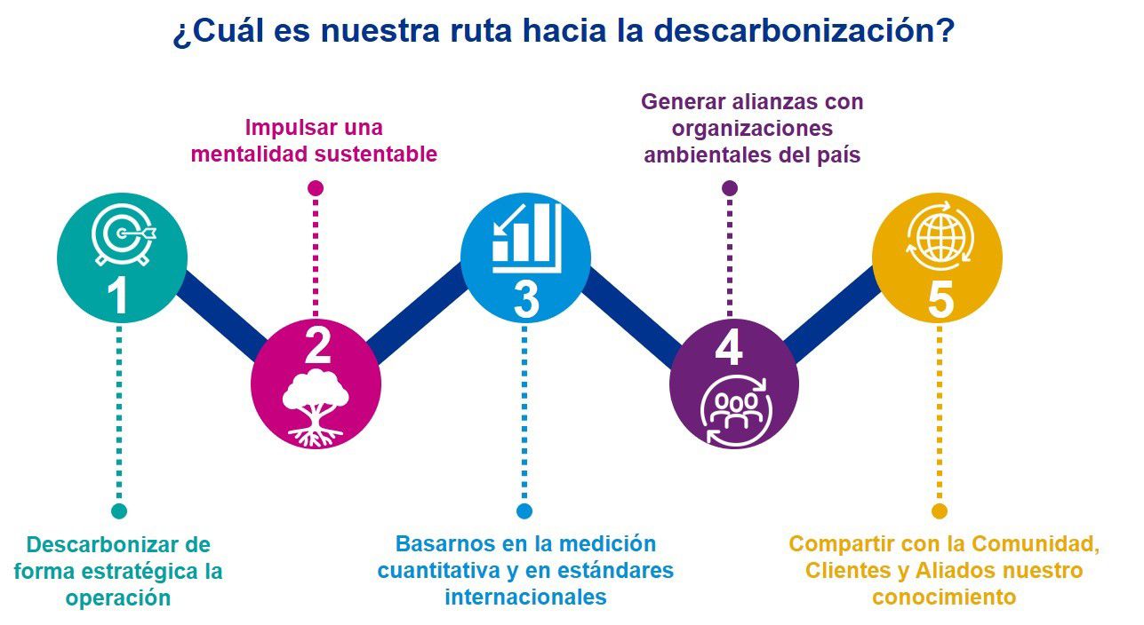 Hacia la meta net zero