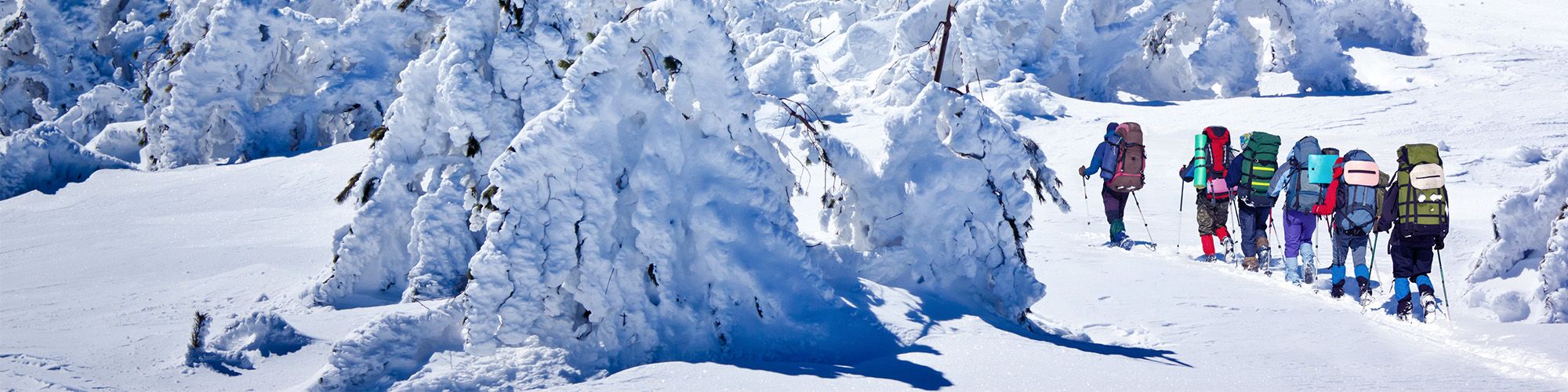 Bergsteigergruppe im Schnee