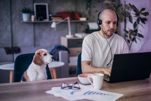 Person in  Homeoffice