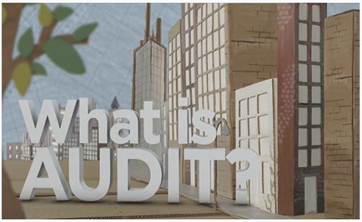 Video: What is Audit?