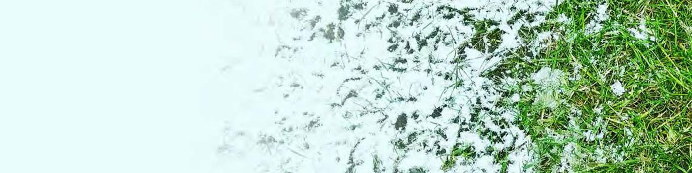 imagem com lateral simulando grama sobre gelo