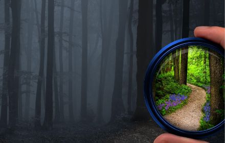 Looking through a lens to see a clear path through a dark forest