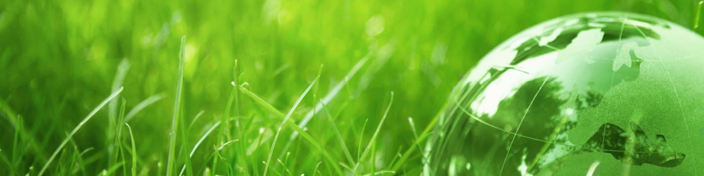 Glass globe on green grass