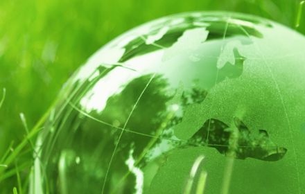 Glass globe on green grass