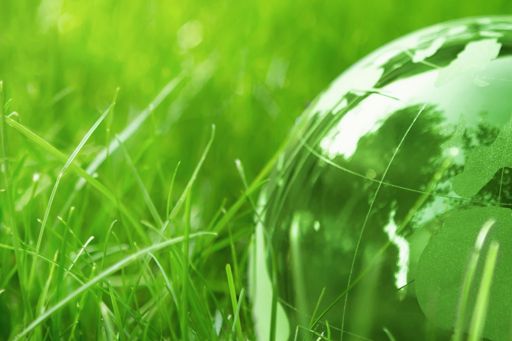 Glass globe on green grass