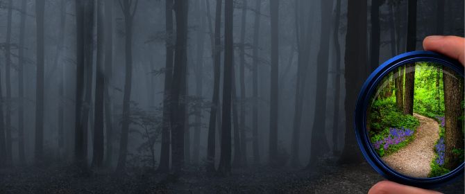 Looking through a lens to see a clear path through a dark forest