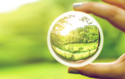 Looking through lens at green fields and trees