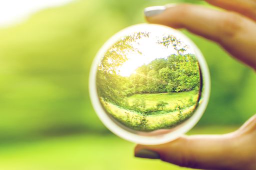 Looking through lens at green fields and trees