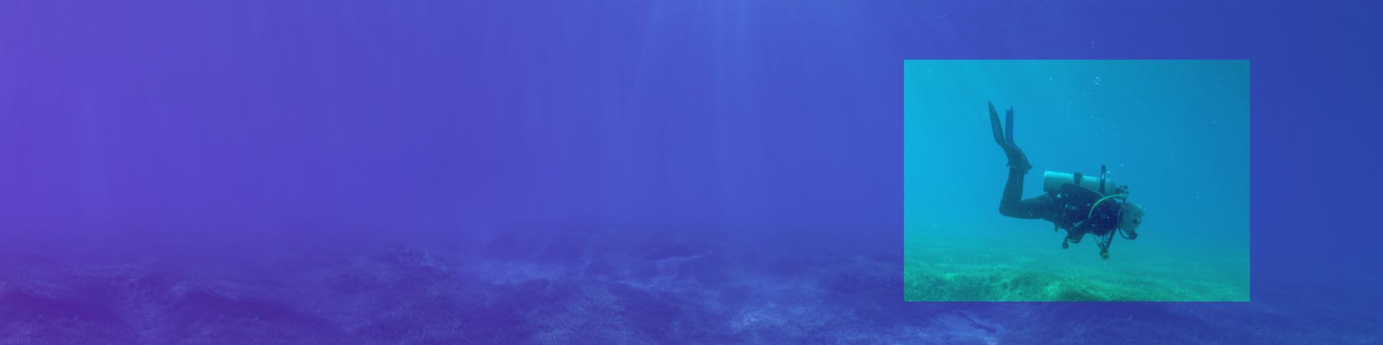 scuba diver in purple-blue gradient motif