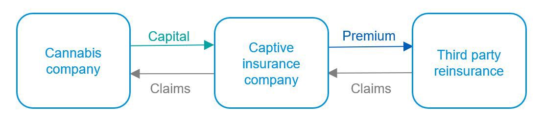 process of cannabis company making a captive