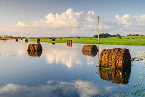 climate risk services