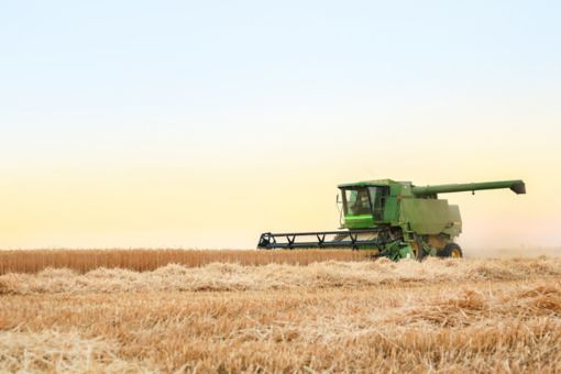 Combine harverster in a wheat field