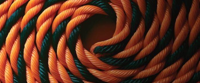 A rope of two colors forming a strong partnership