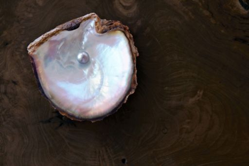 Huître protégeant une perle précieuse sur un fond de bois riche