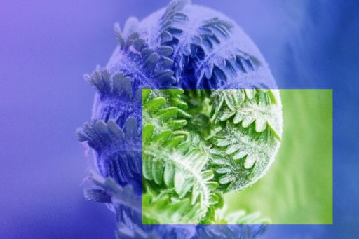 ESG risks in banks
