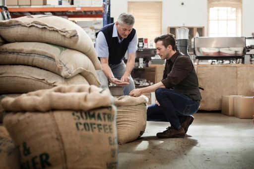 two men inspecting coffee beans