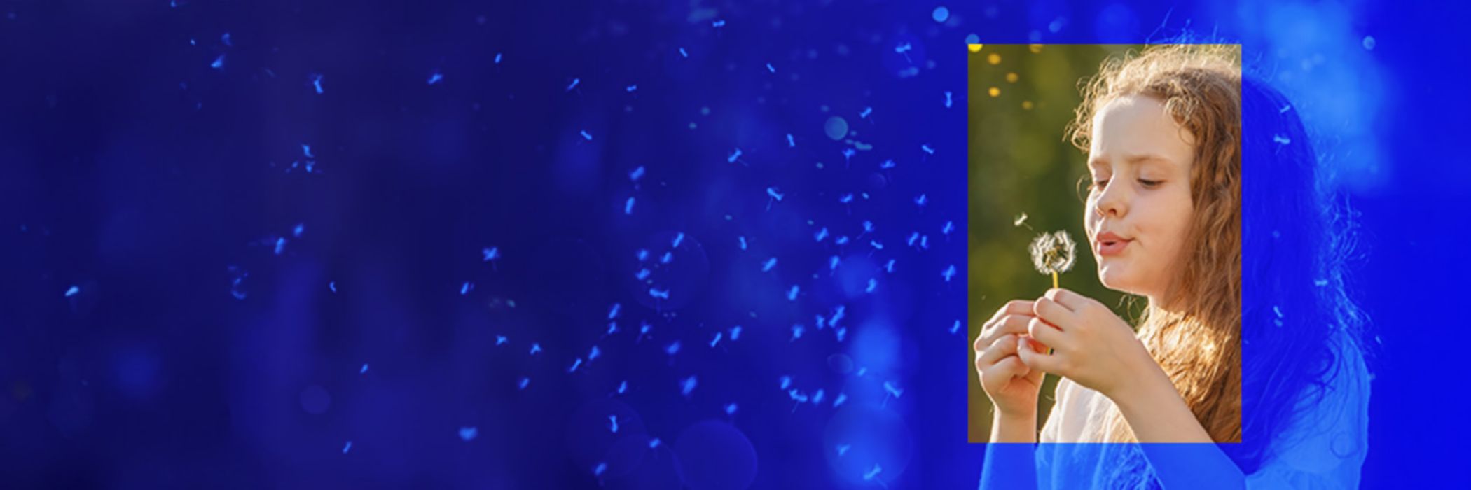 KPMG Felelős Társadalomért Program