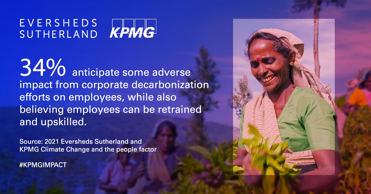 evershard-kpmg-climate-change-quote-2