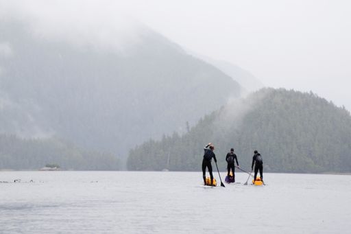 Three people paddle board in the rain in the Great Bear Rainforest