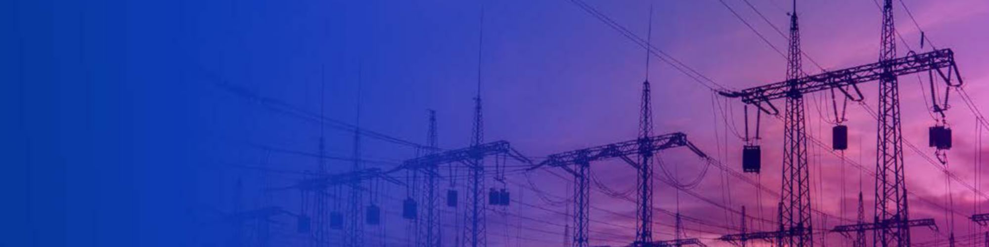 Power Sector Watch | Special Edition | Volume 5