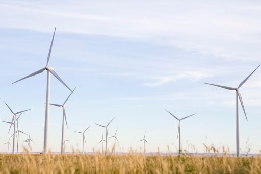Desarrollo de Energías Renovables en Argentina