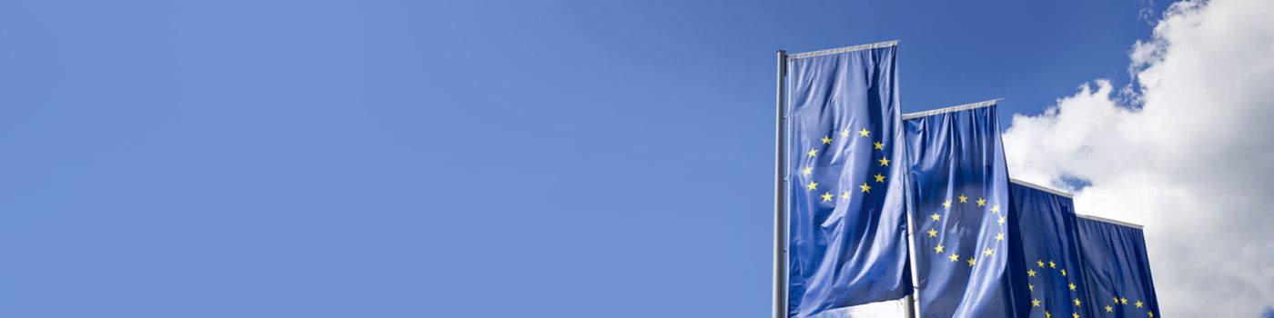 European flags
