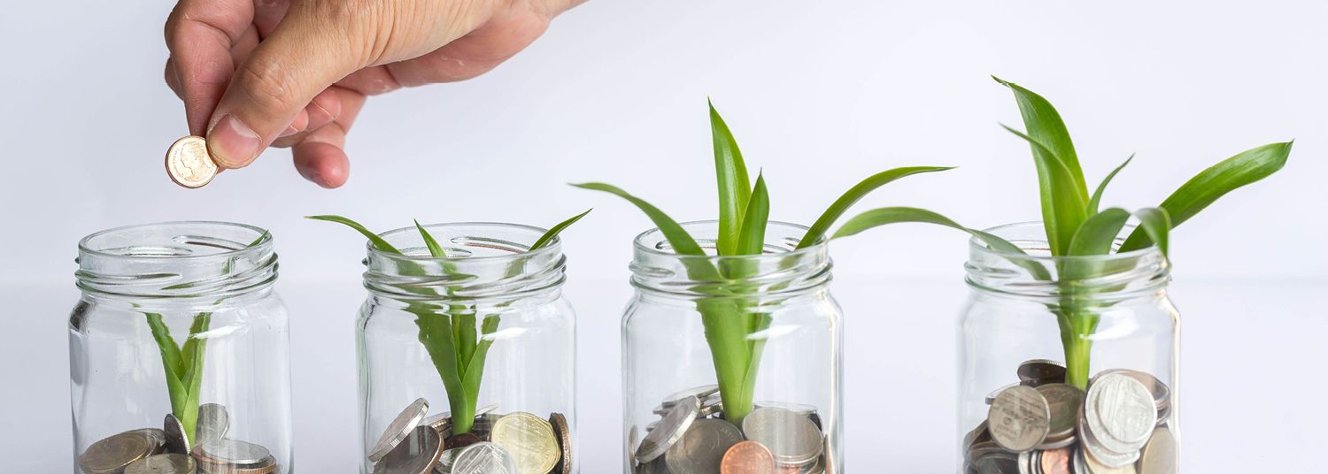 jars with coins and plants