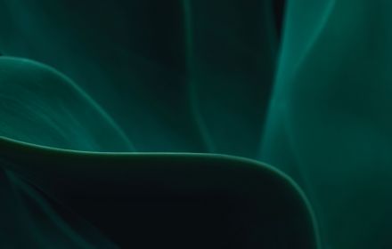 Abstract green image embodying resilience