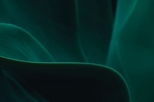 Abstract green image embodying resilience