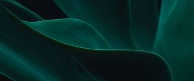 Abstract green image embodying resilience