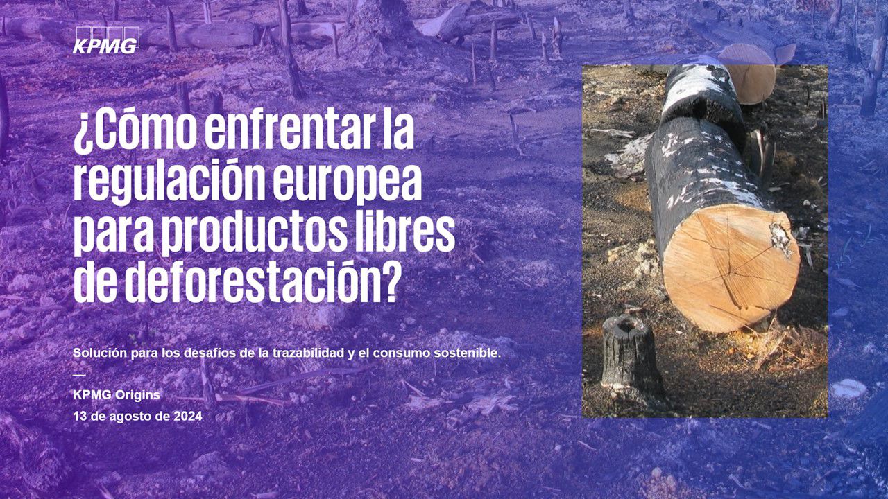 Productos Libres de Deforestación