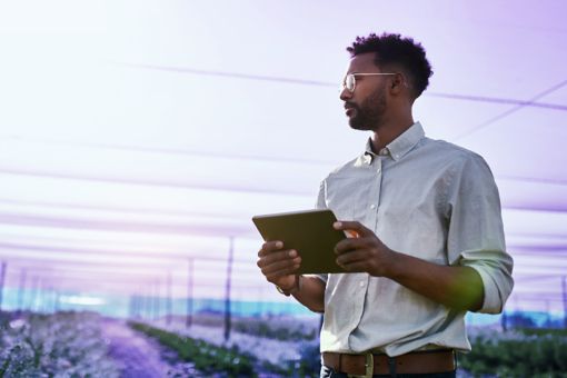 Otimizar sua operação