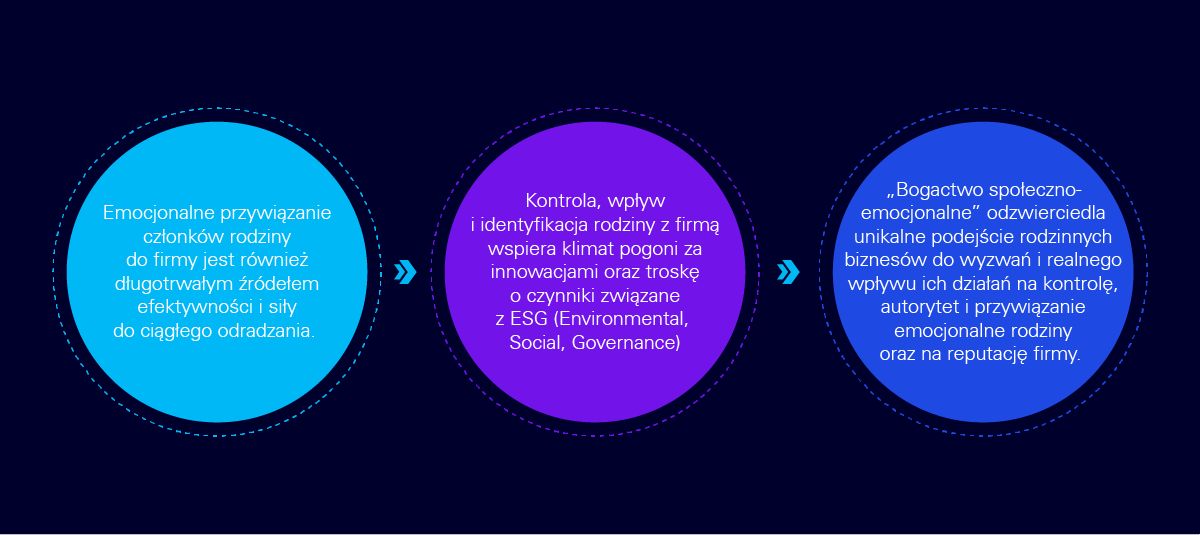 „Bogactwo społeczno-emocjonalne”: kontrola i wpływ rodziny, przywiązanie emocjonalne i identyfikacja z firmą rodzinną.