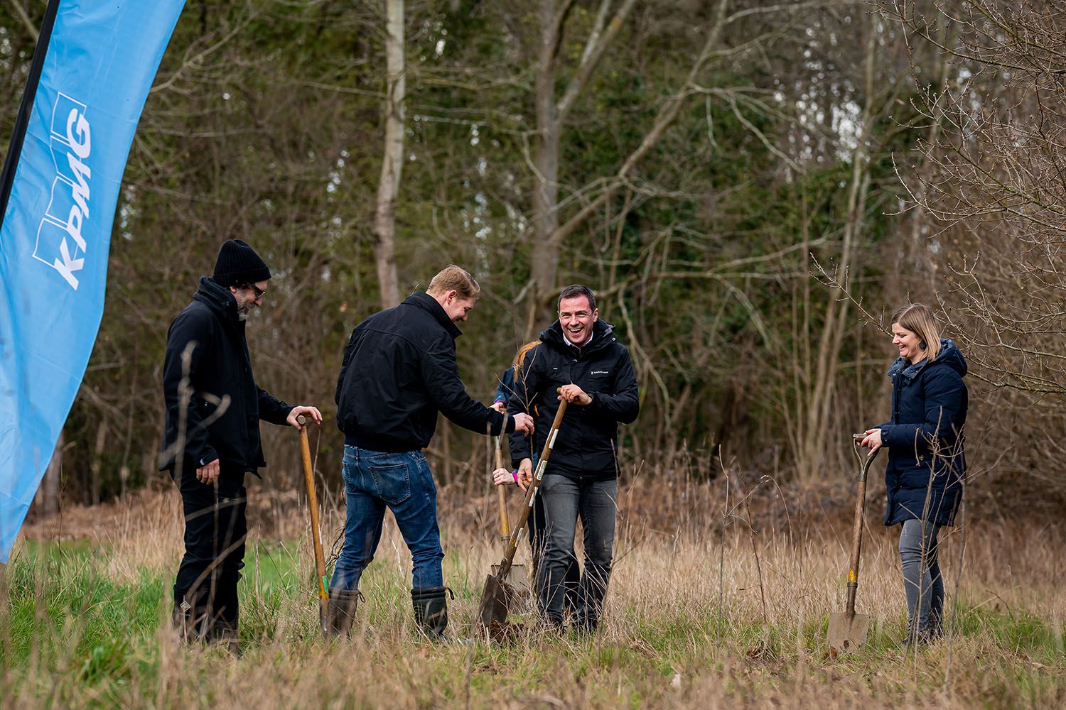 KPMG forest picture 1