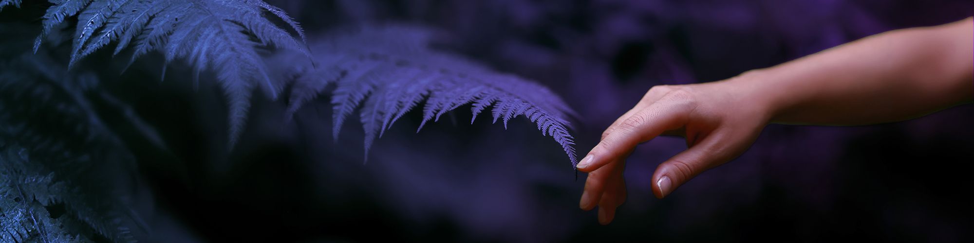Hand touching a leaf