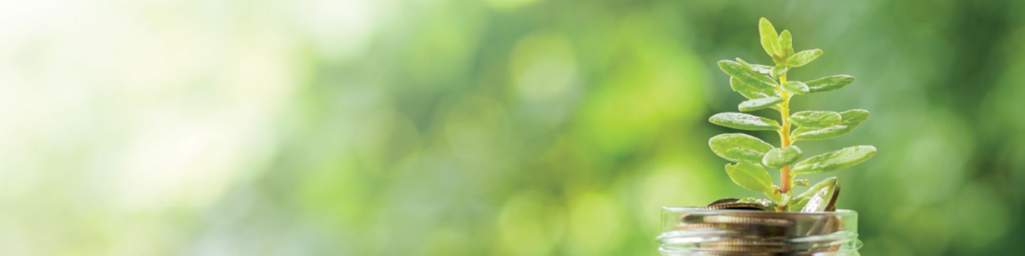 Análisis de la Reforma Tributaria