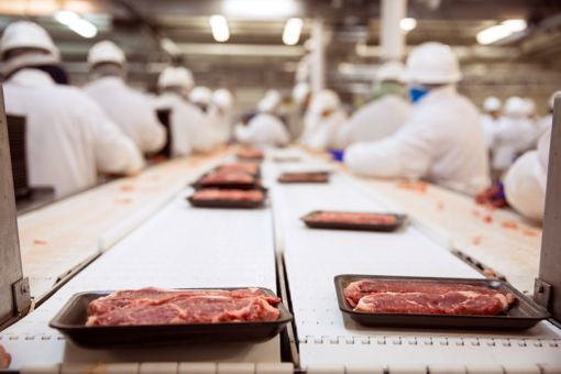 A factory production line with trays of raw meat