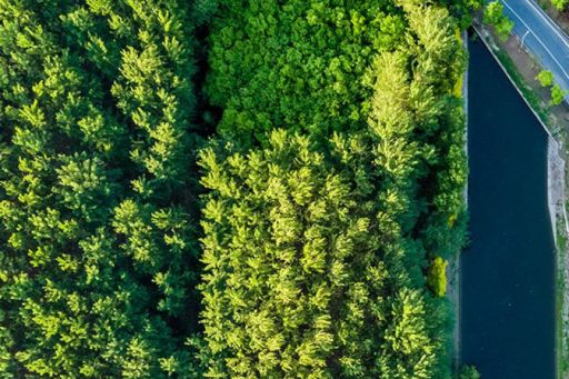 Aerial view of highway