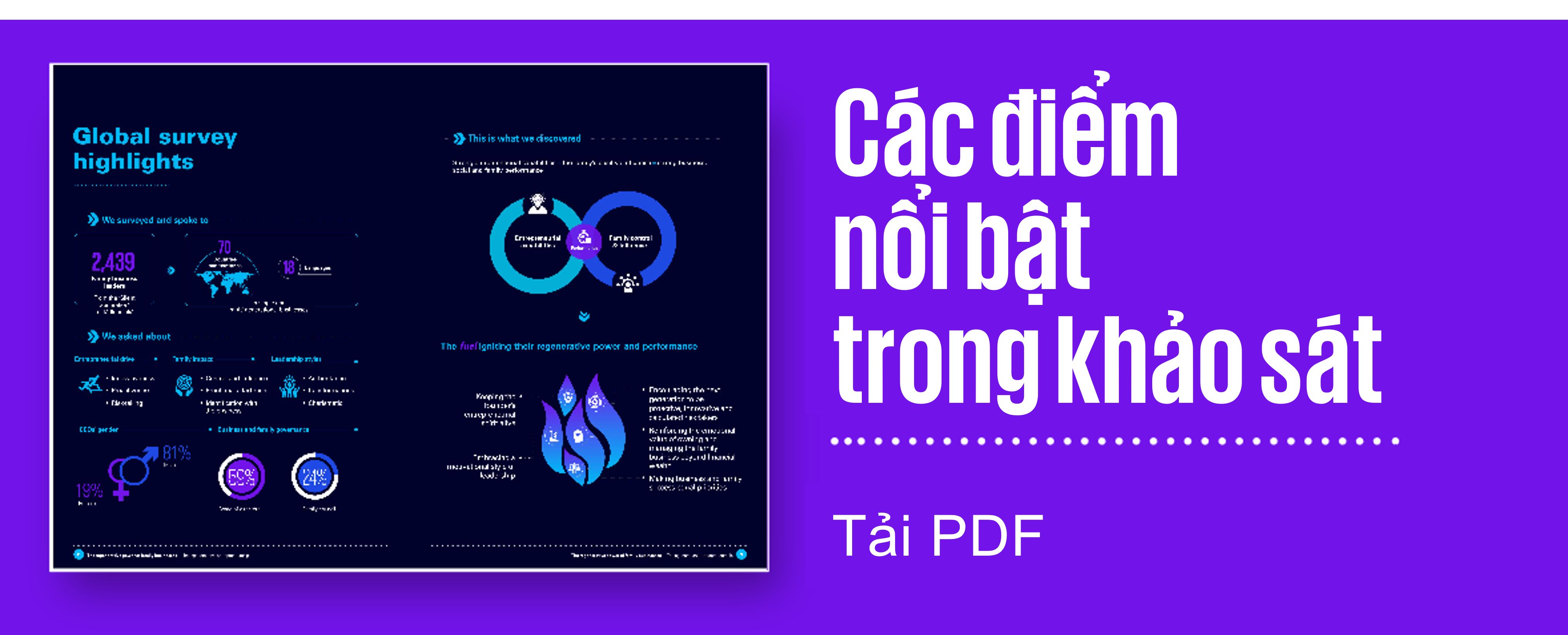 STEP report infographic thumbnail