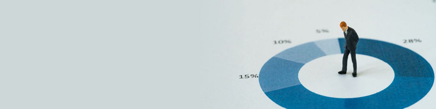 Tax flex totaal overzicht illustratie
