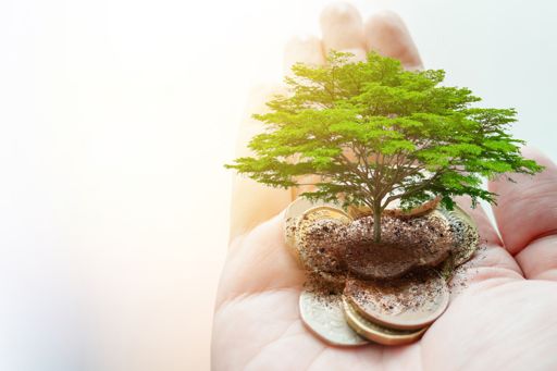 main tenant des pièces de monnaie avec un arbre miniature symbolisant les impôts environnementaux