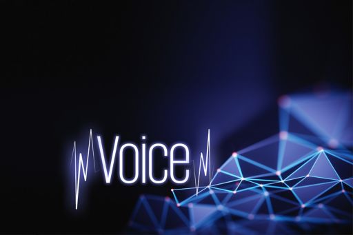 En fremtid med voice- og chatbots