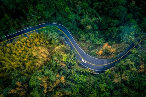 Aerial shot of car on a road in the forest