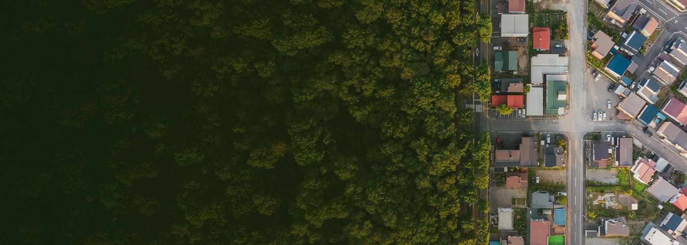 Aerial view of houses and forest - Trust planning