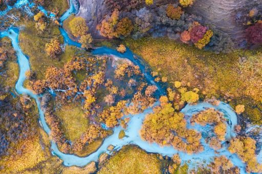 Aerial view of multicolored autumn