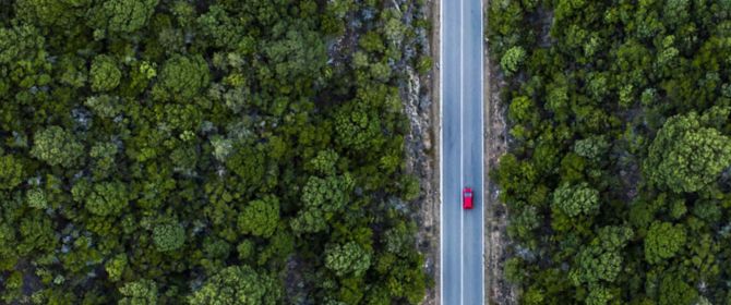 Aerial view of red car in the forest